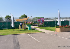 Op weg naar HilverdaFlorist.